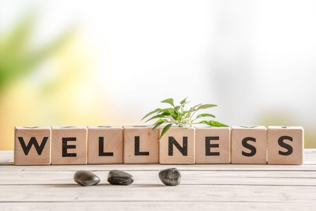 The word wellness in wooden blocks on a table, enhanced by plants and stones for calmness