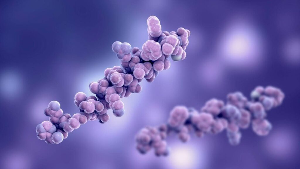 A group of purple and white cells illustrating cellular variation